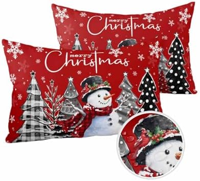 Waterproof Pillow Protectors 2 Pack with Zipper