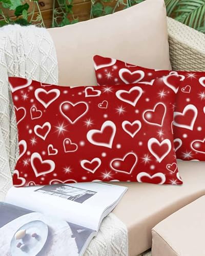 Waterproof Pillow Protector 2 Pack with Heart Design 1