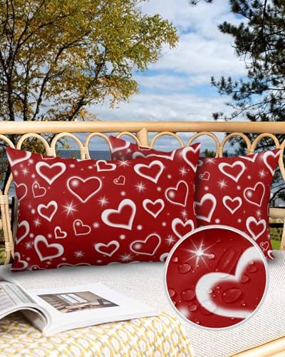 Waterproof Pillow Protector 2 Pack with Heart Design 1