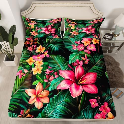 Manfei Tropical Plumeria Flowers Queen Sheet Set