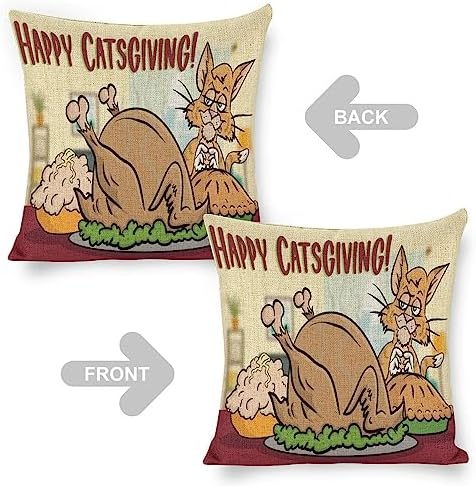 JOJOART Turkey Throw Pillow Covers Set of 2