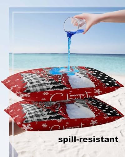 Waterproof Pillow Protectors 2 Pack with Zipper