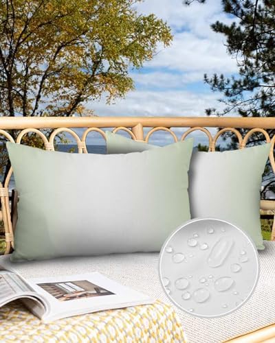 Waterproof Pillow Protector 2 Pack with Zipper