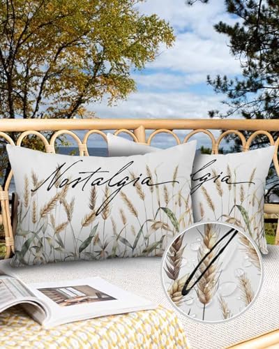 Waterproof Pillow Protector 2 Pack for 12x20 Pillow