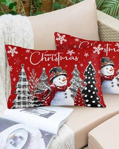 Waterproof Pillow Protectors 2 Pack with Zipper