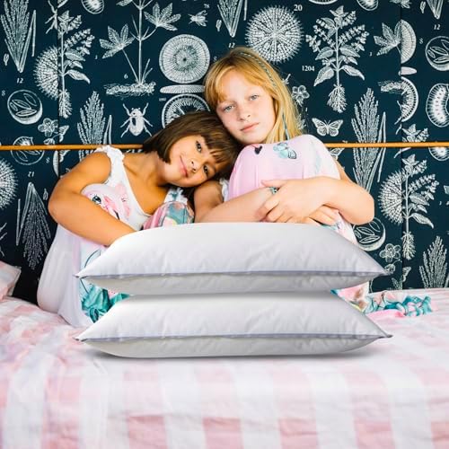 Velvet Hotel Pillow 11811969 in Soft Comfortable 1PC