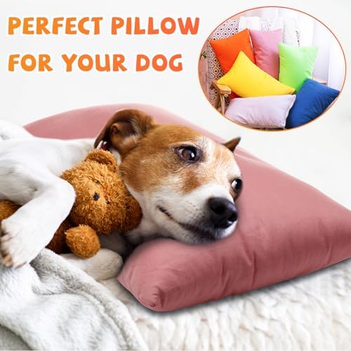 Kigley 6-Pack Mini Travel Pillows for Kids Pet and More
