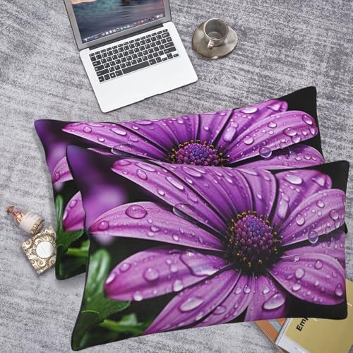 Purple Daisy Pillowcases Set of 2 King Size with Hidden Zipper