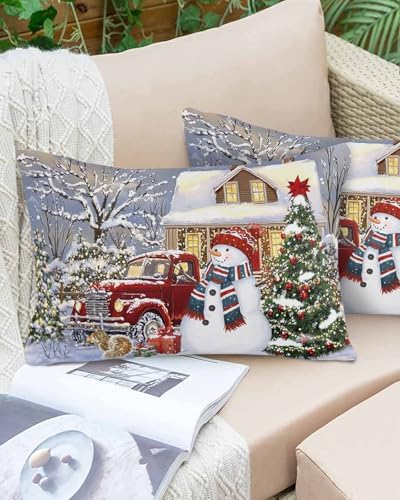 Waterproof Pillow Protectors 2 Pack - Farmhouse Style with Zipper