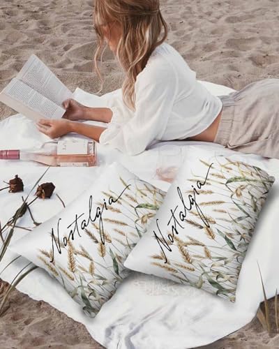 Waterproof Pillow Protector 2 Pack for 12x20 Pillow