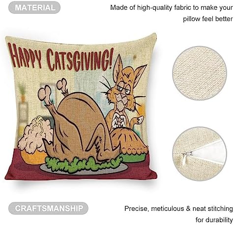 JOJOART Turkey Throw Pillow Covers Set of 2