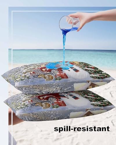 Waterproof Pillow Protectors 2 Pack - Farmhouse Style with Zipper