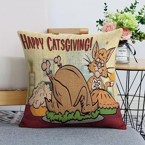 JOJOART Turkey Throw Pillow Covers Set of 2